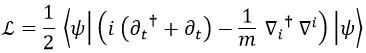 Lagrangiana Schrödinger